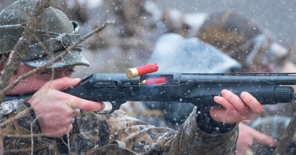 Shotgunning: Shooting from Blinds | Ducks Unlimited
